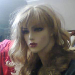 Meet your Posher, Dianne